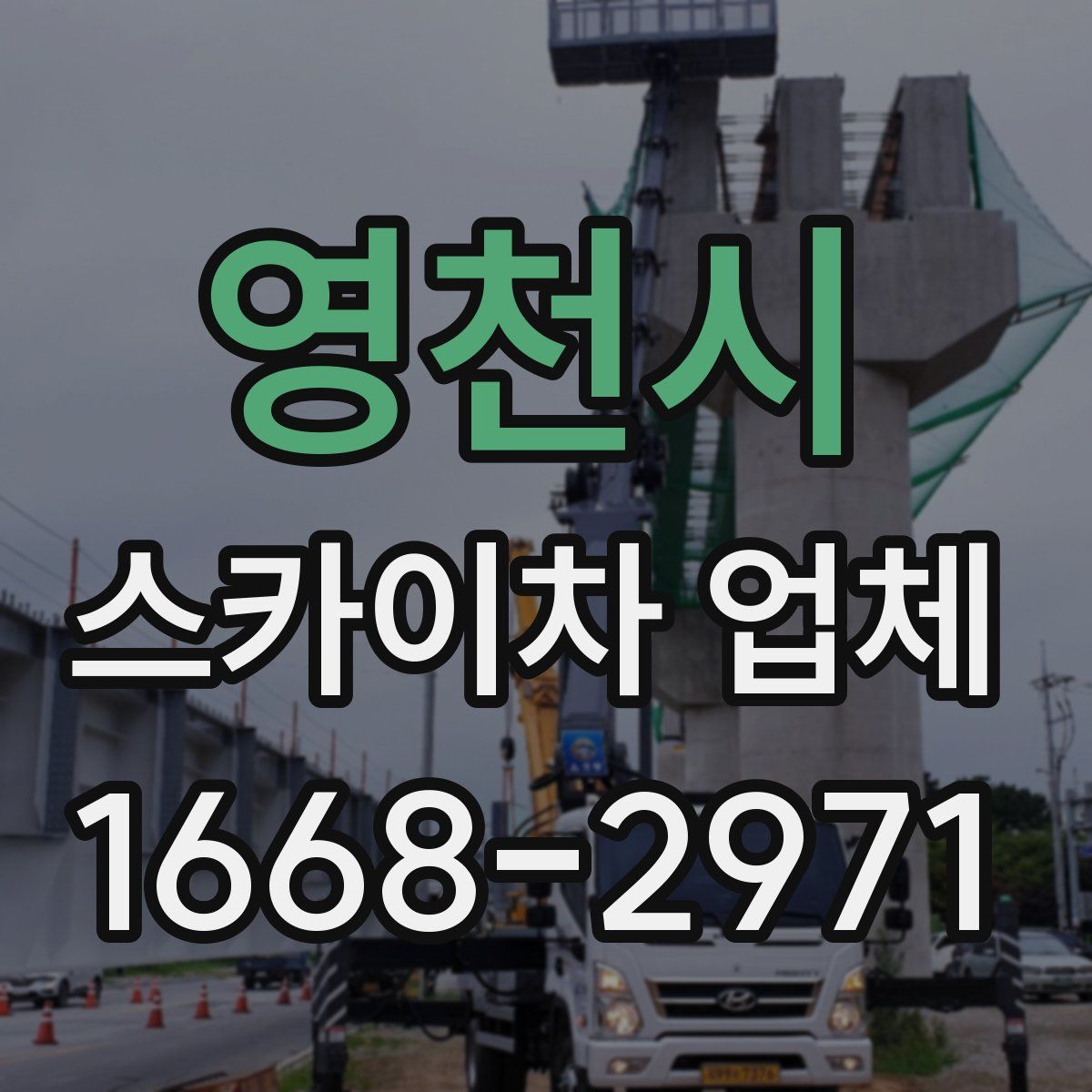 영천시 스카이차 업체
