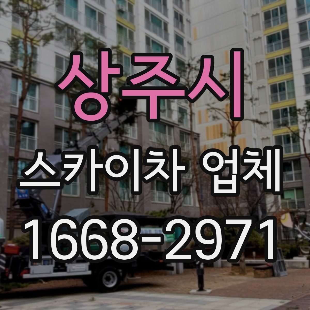 상주시 스카이차 업체