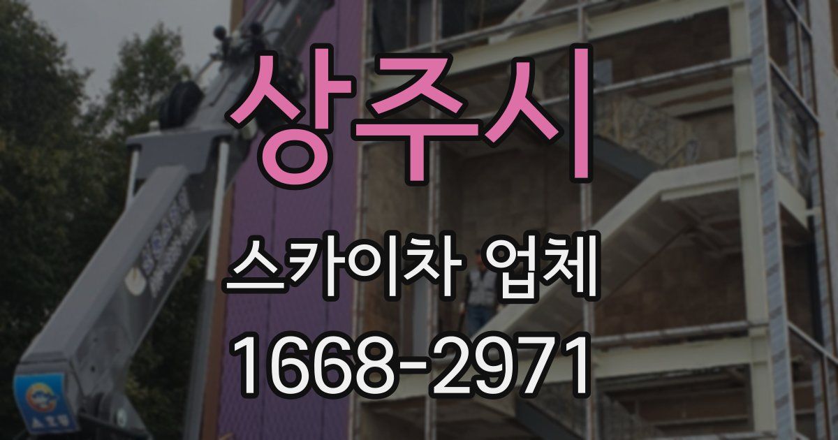 상주시 스카이차 업체