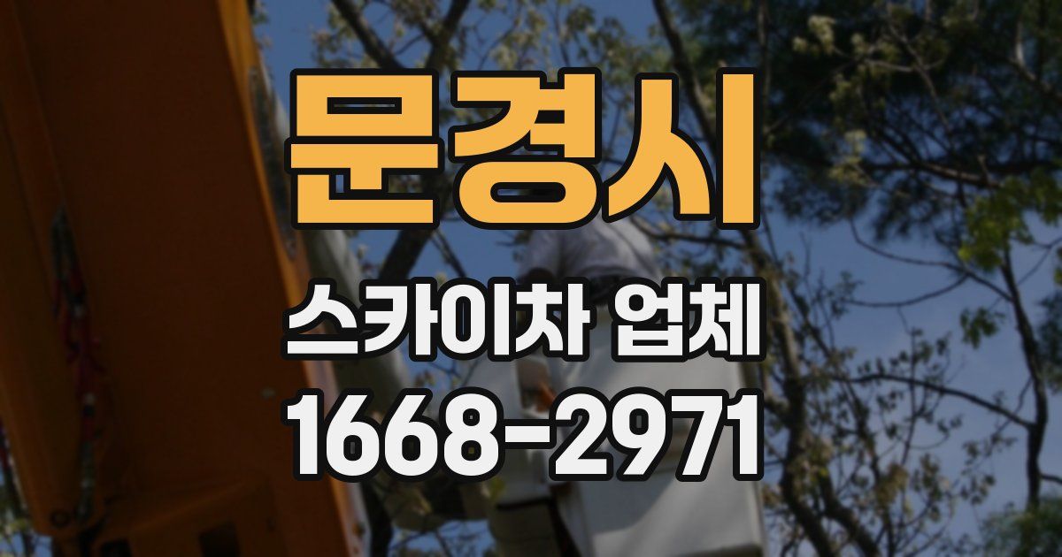 문경시 스카이차 업체