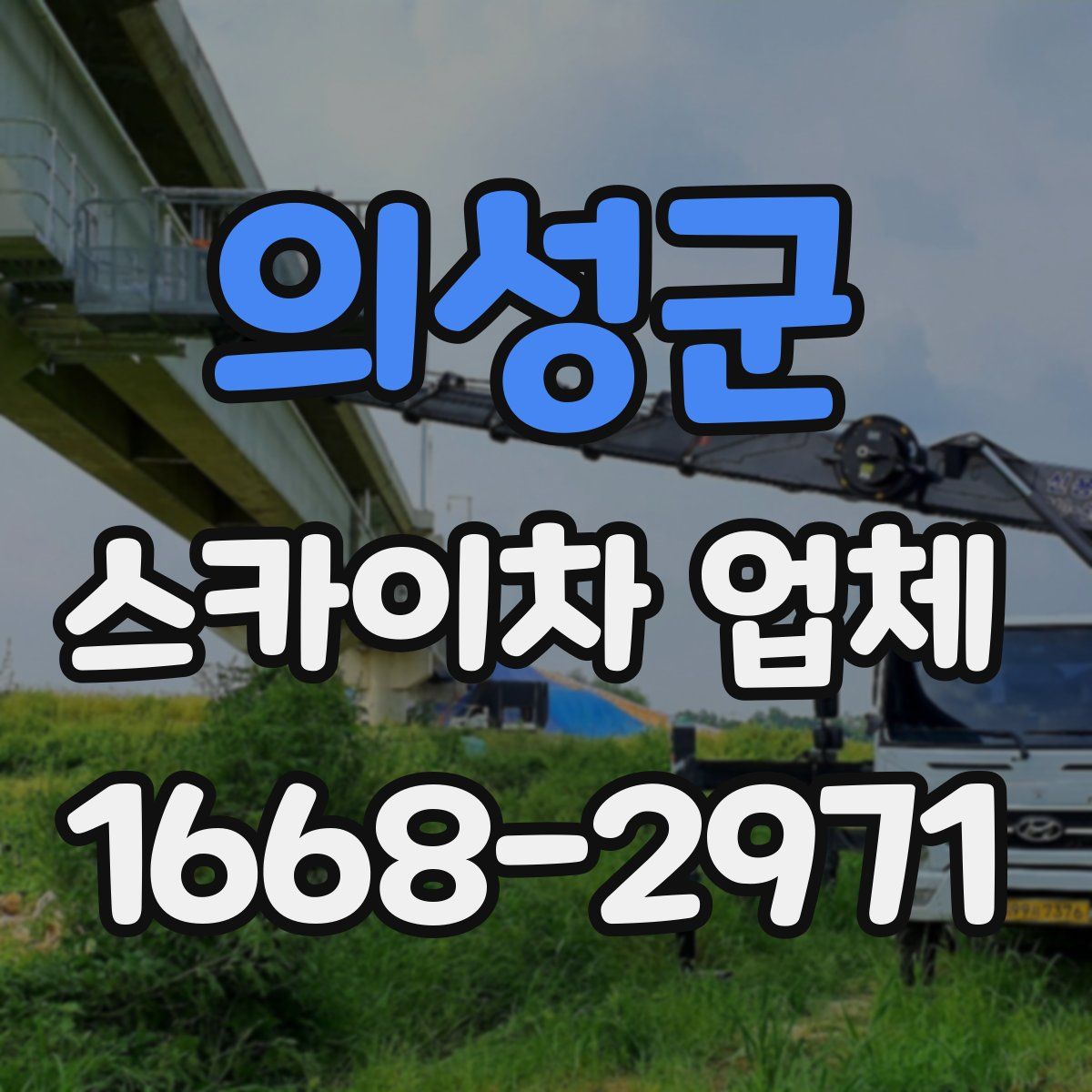 의성군 스카이차 업체