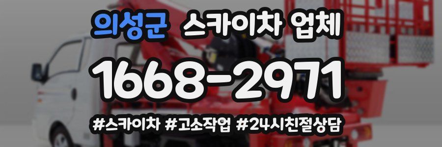 의성군 스카이차 업체
