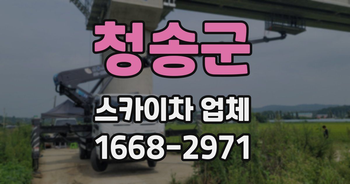 청송군 스카이차 업체