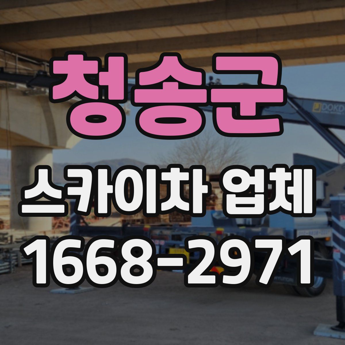 청송군 스카이차 업체