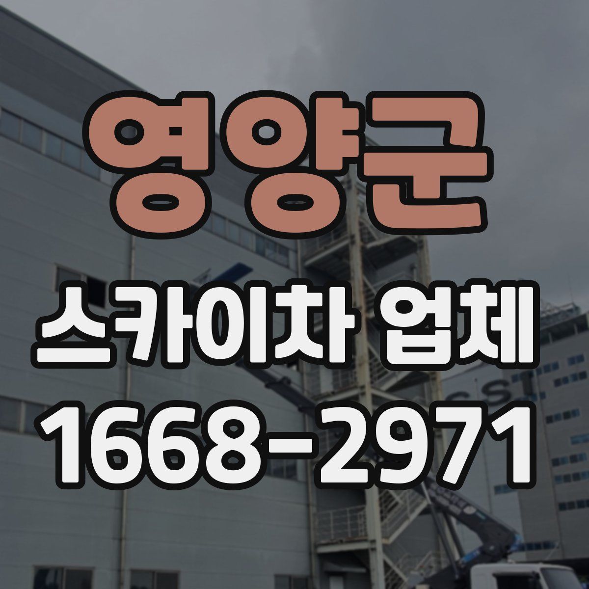영양군 스카이차 업체