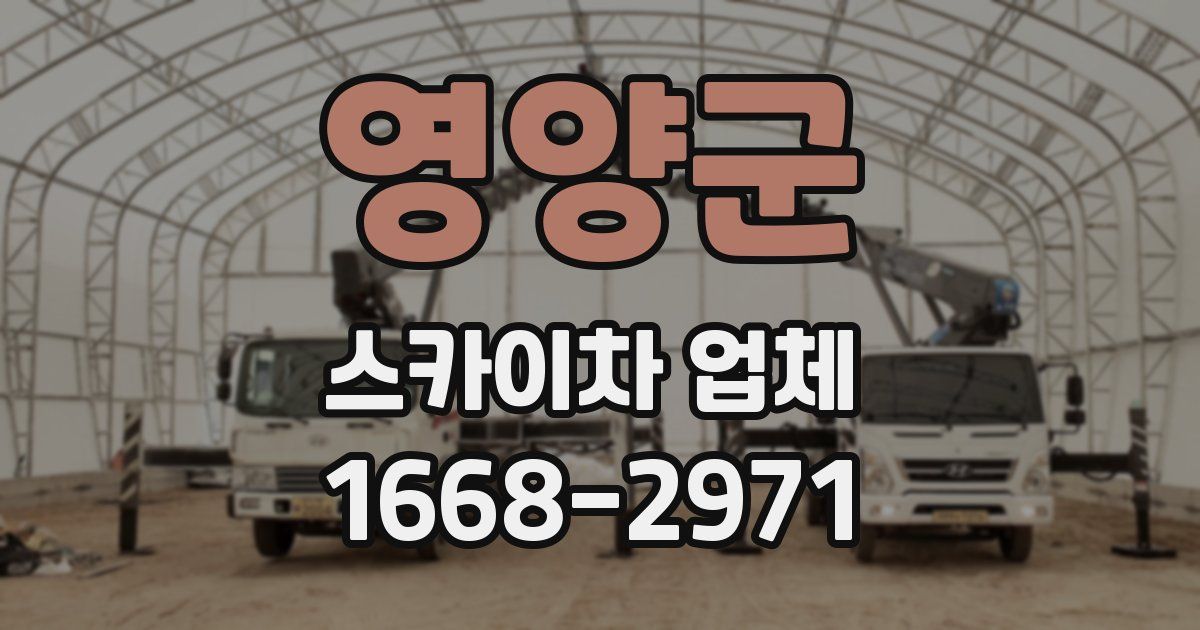 영양군 스카이차 업체