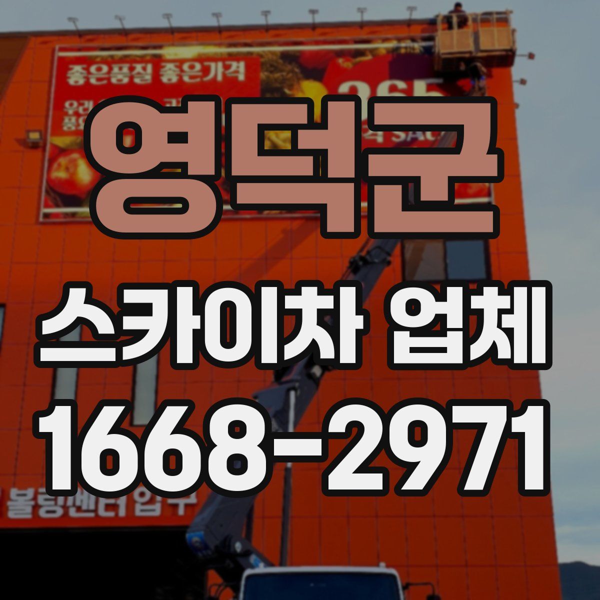 영덕군 스카이차 업체