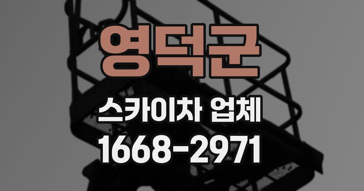 영덕군 스카이차 업체