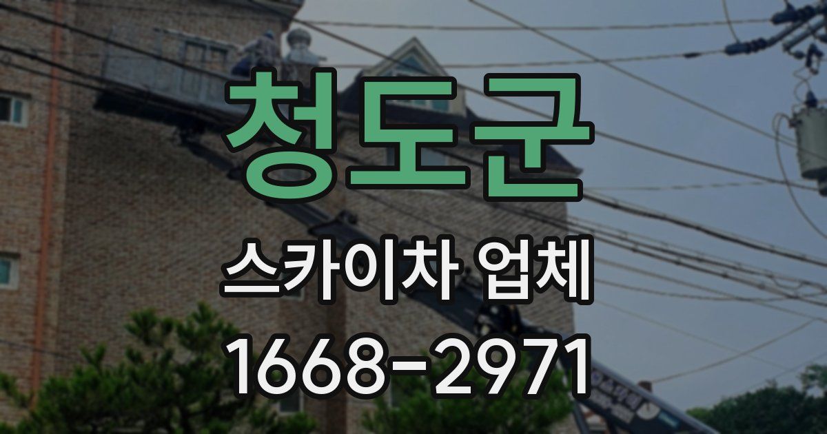 청도군 스카이차 업체
