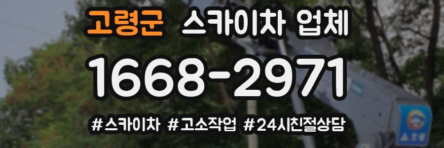 고령군 스카이차 업체