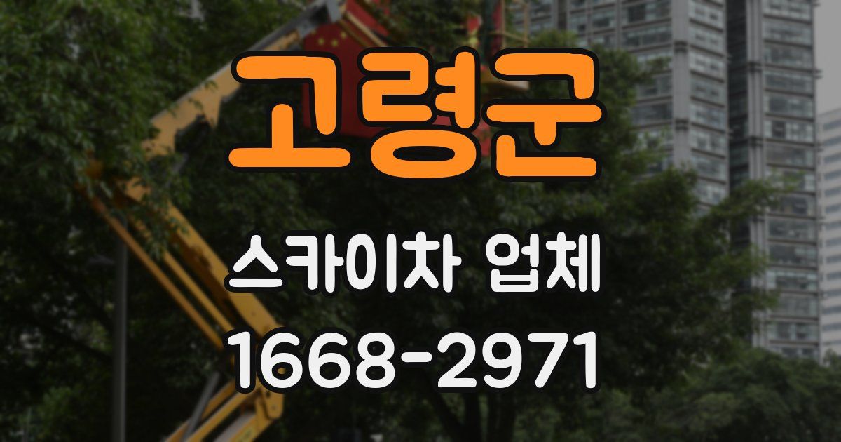 고령군 스카이차 업체