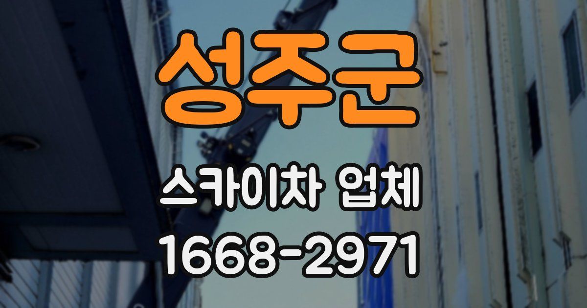 성주군 스카이차 업체