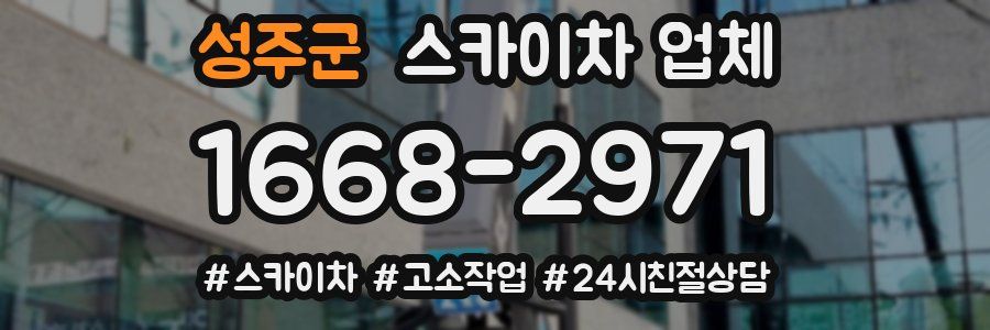 성주군 스카이차 업체