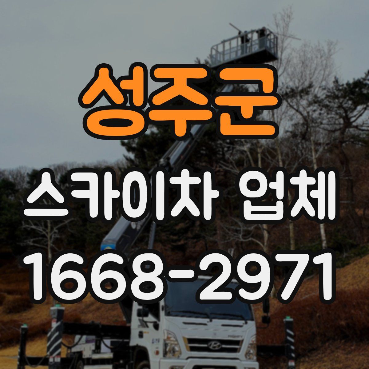 성주군 스카이차 업체
