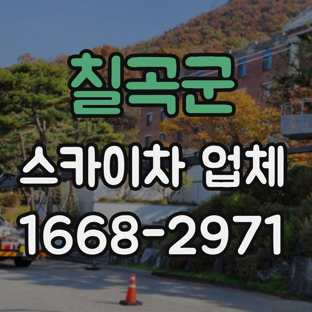 칠곡군 스카이차 업체