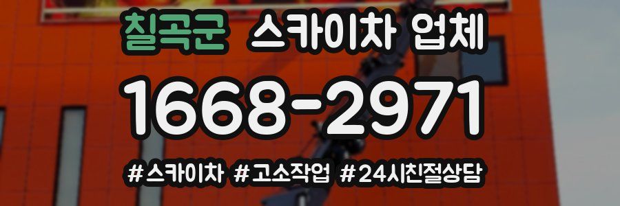 칠곡군 스카이차 업체