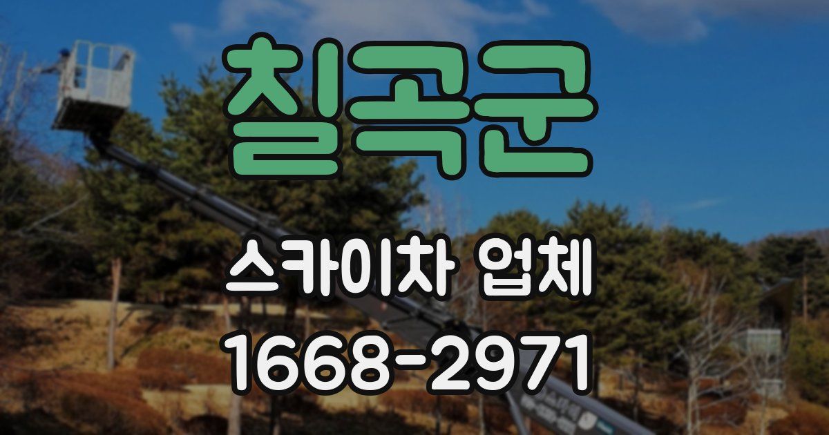 칠곡군 스카이차 업체