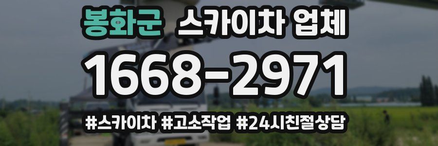 봉화군 스카이차 업체