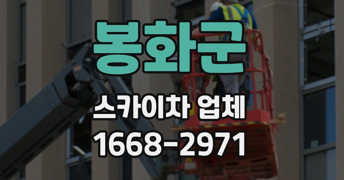 봉화군 스카이차 업체