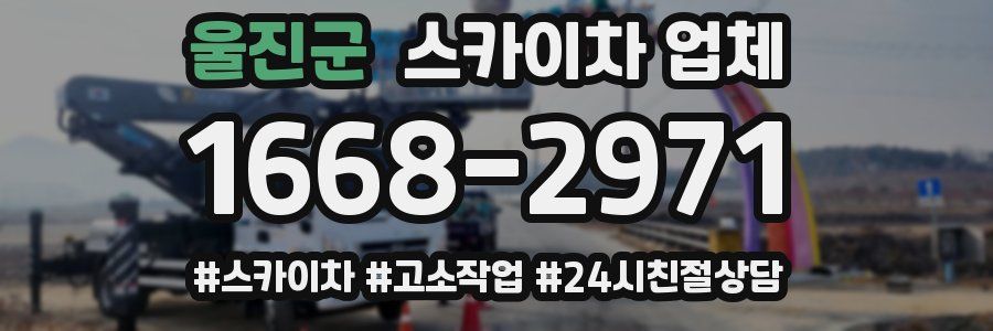 울진군 스카이차 업체