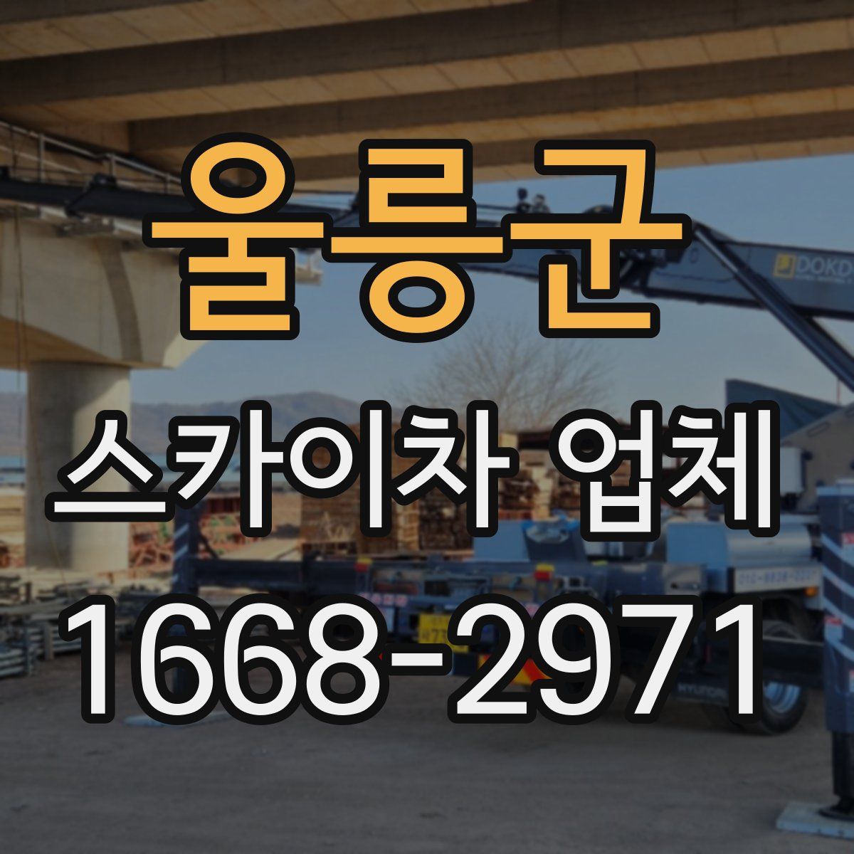 울릉군 스카이차 업체
