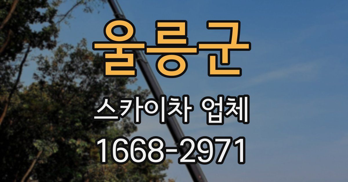 울릉군 스카이차 업체