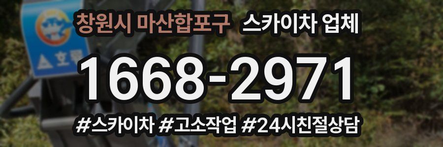 창원시 마산합포구 스카이차 업체