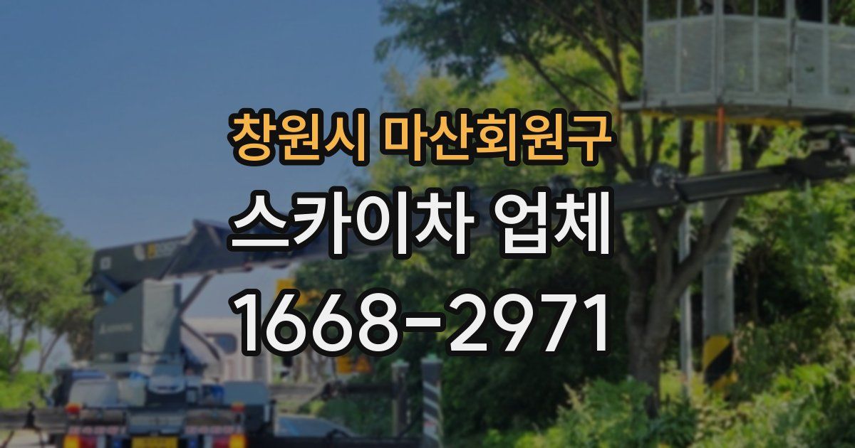 창원시 마산회원구 스카이차 업체