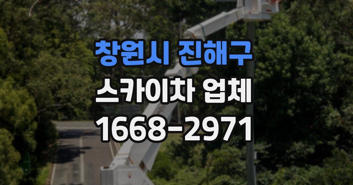 창원시 진해구 스카이차 업체