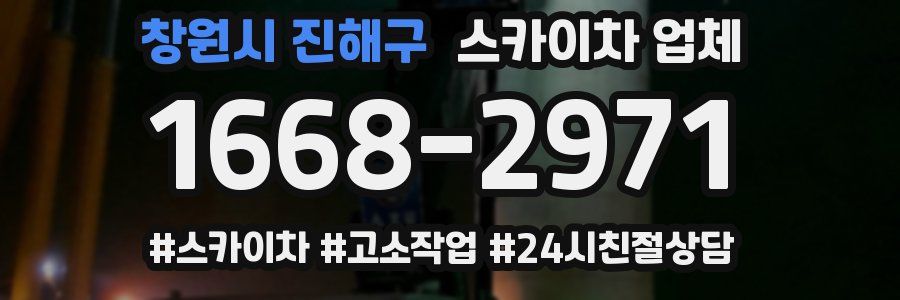 창원시 진해구 스카이차 업체
