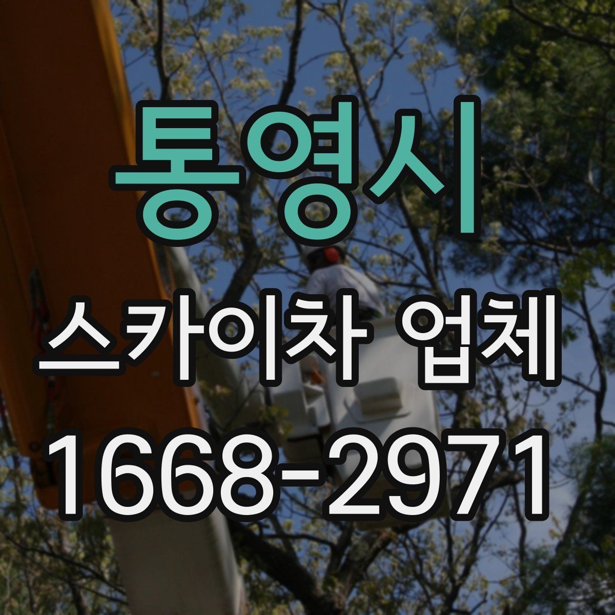 통영시 스카이차 업체 비용과 작업 조건을 함께 보는 이유