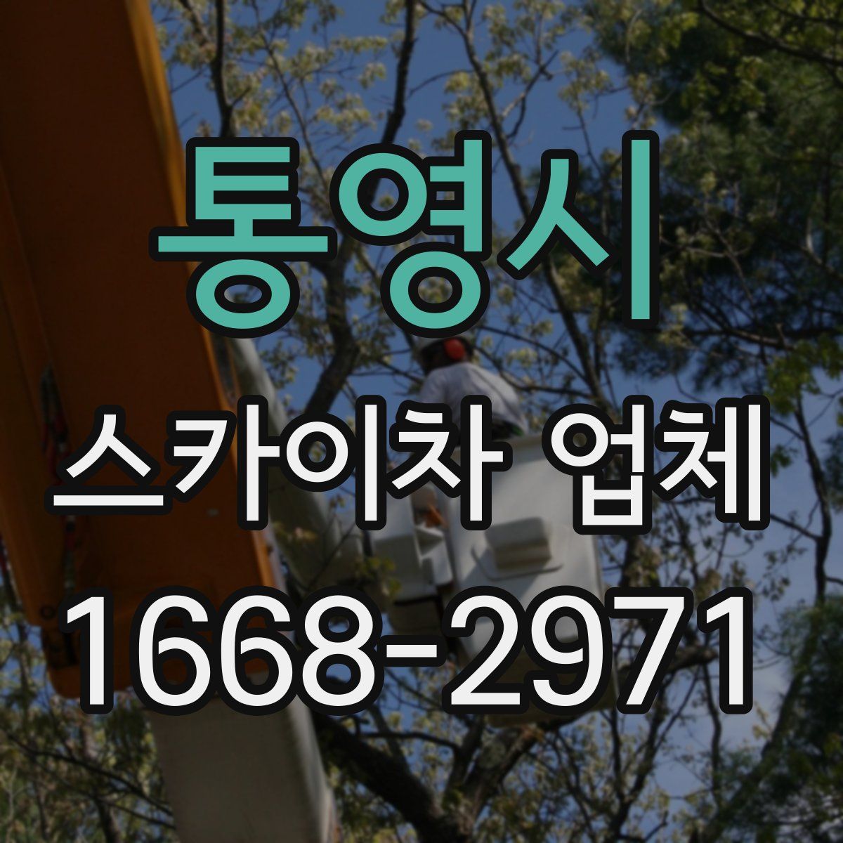 통영시 스카이차 업체