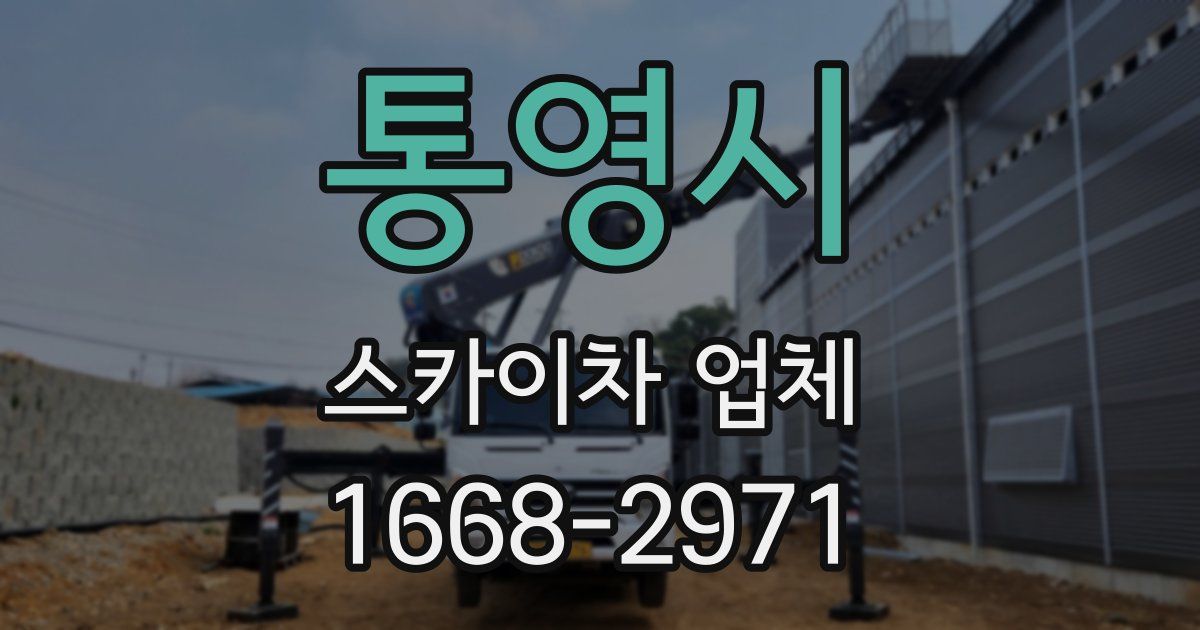 통영시 스카이차 업체