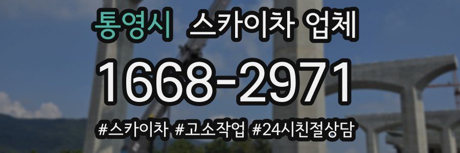 통영시 스카이차 업체