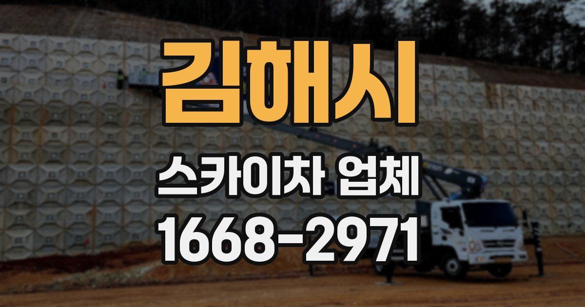 김해시 스카이차 업체