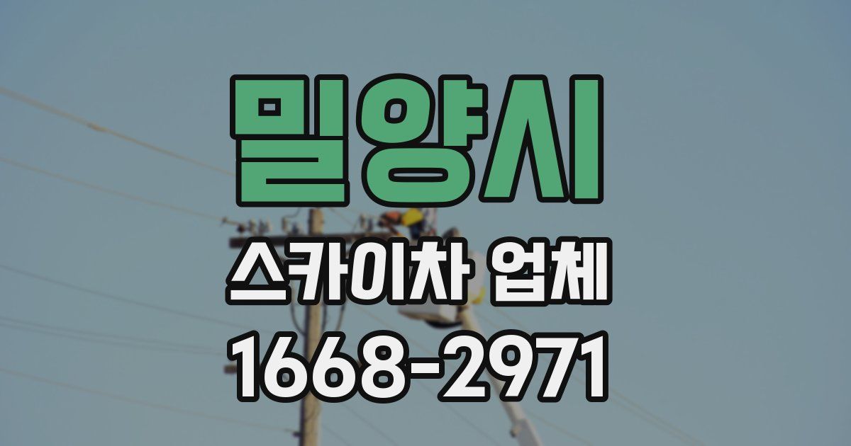 밀양시 스카이차 업체