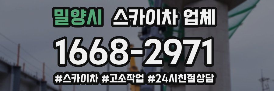 밀양시 스카이차 업체