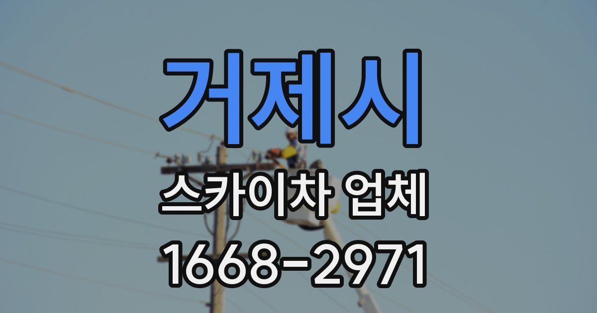 거제시 스카이차 업체