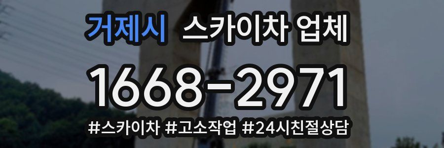 거제시 스카이차 업체