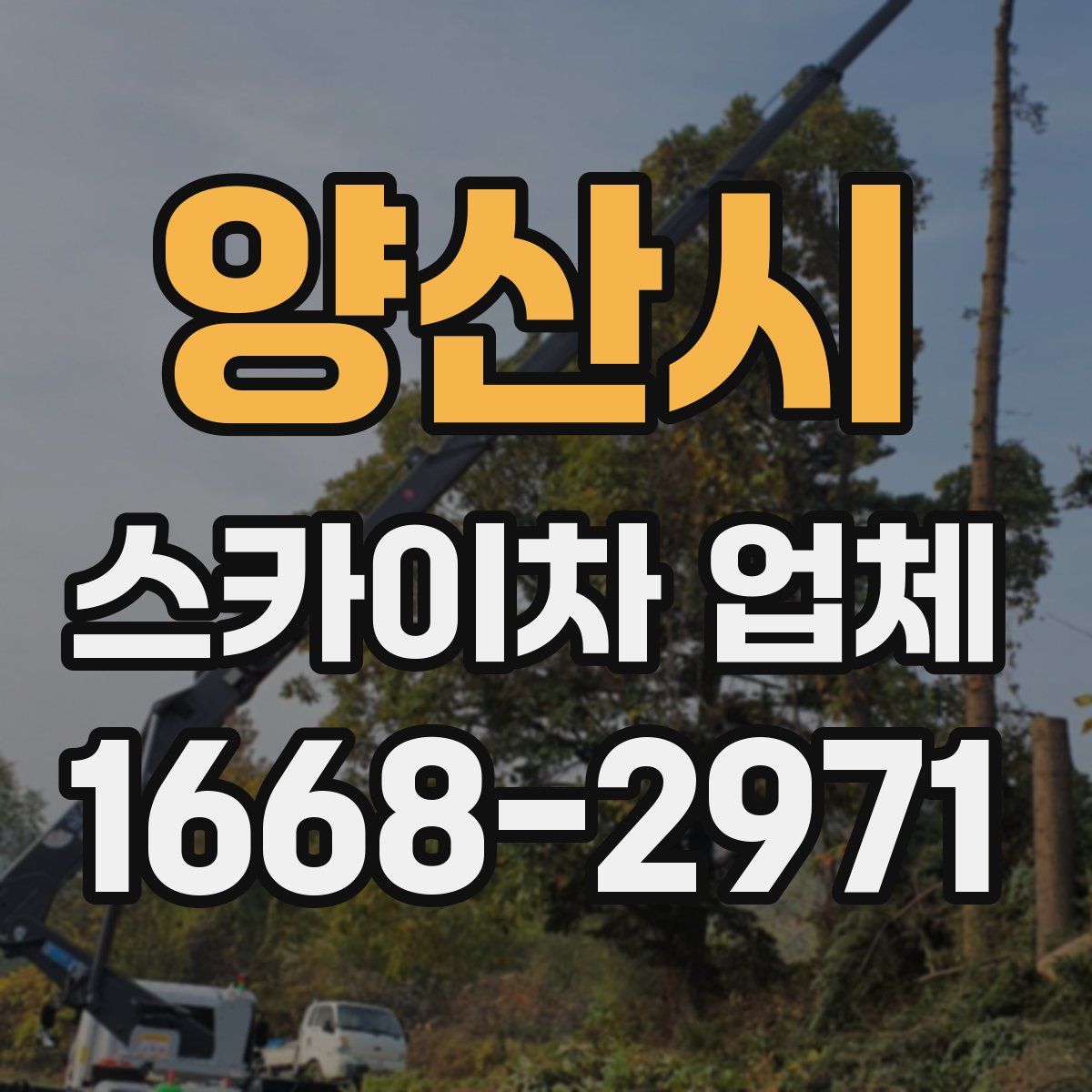 양산시 스카이차 업체