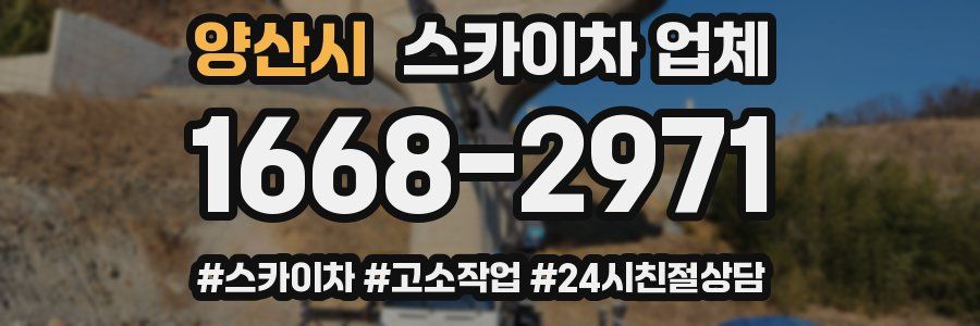 양산시 스카이차 업체