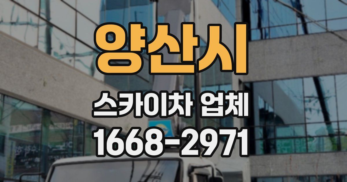 양산시 스카이차 업체