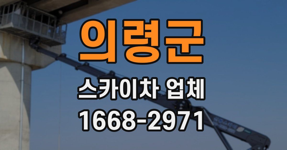 의령군 스카이차 업체
