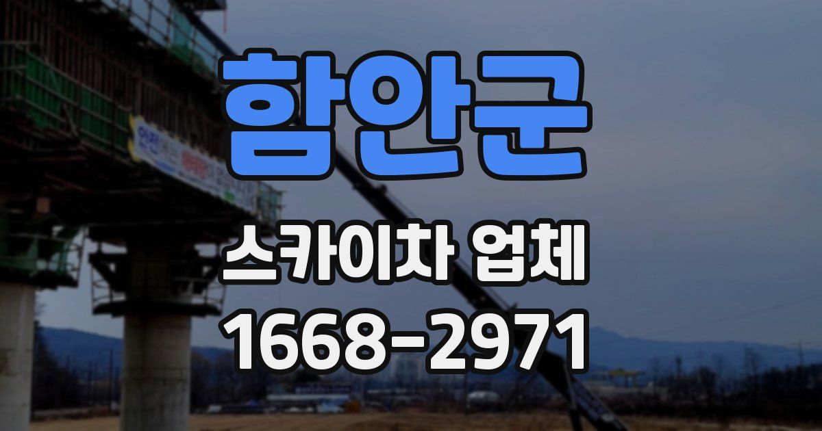 함안군 스카이차 업체