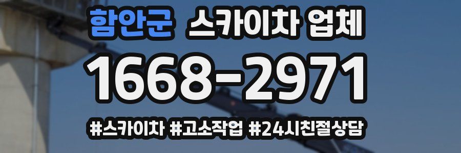 함안군 스카이차 업체