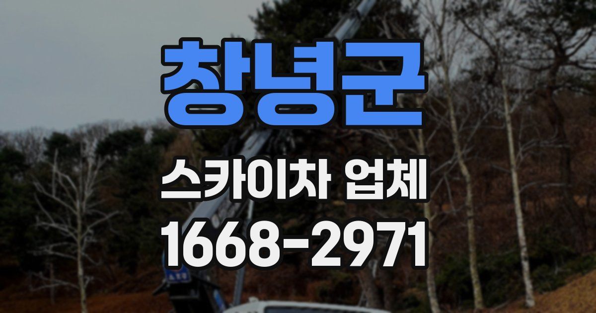 창녕군 스카이차 업체