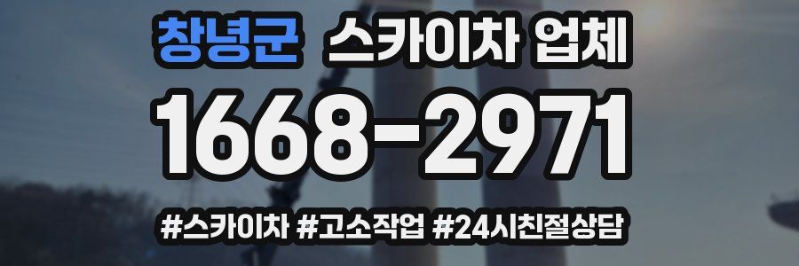 창녕군 스카이차 업체