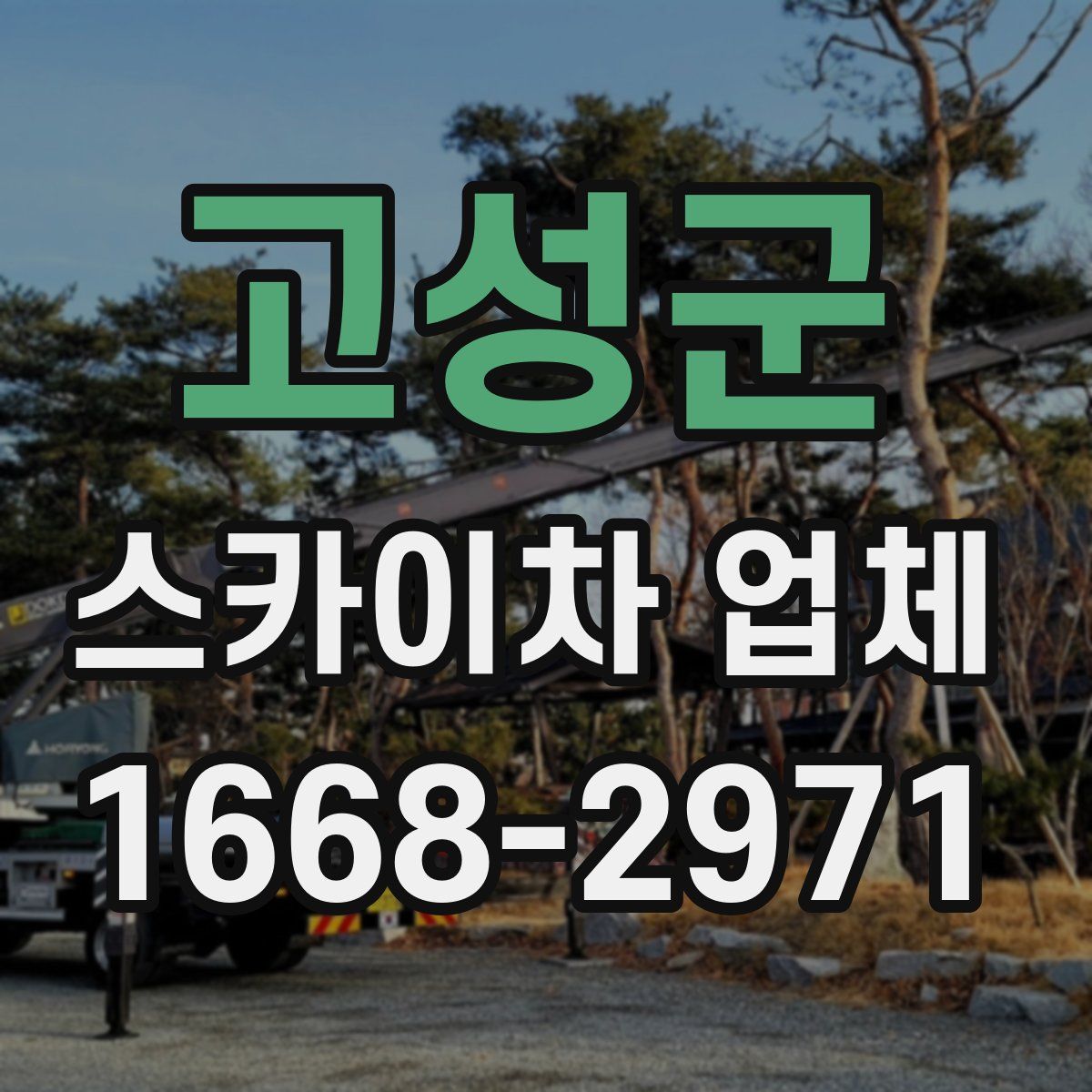 고성군 스카이차 업체