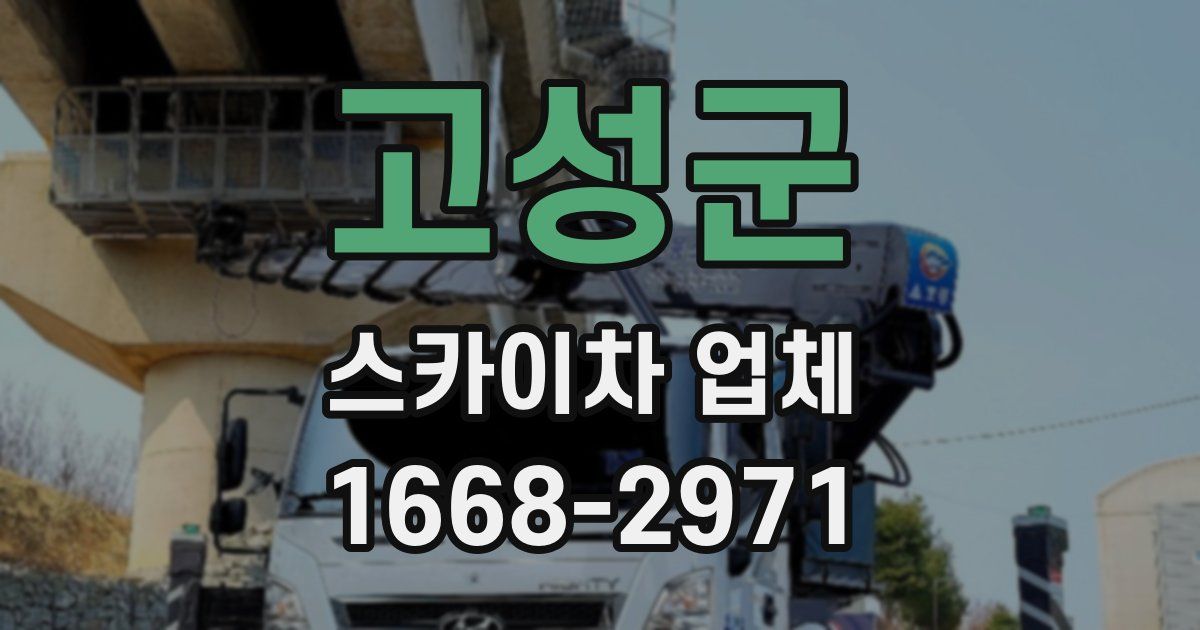 고성군 스카이차 업체