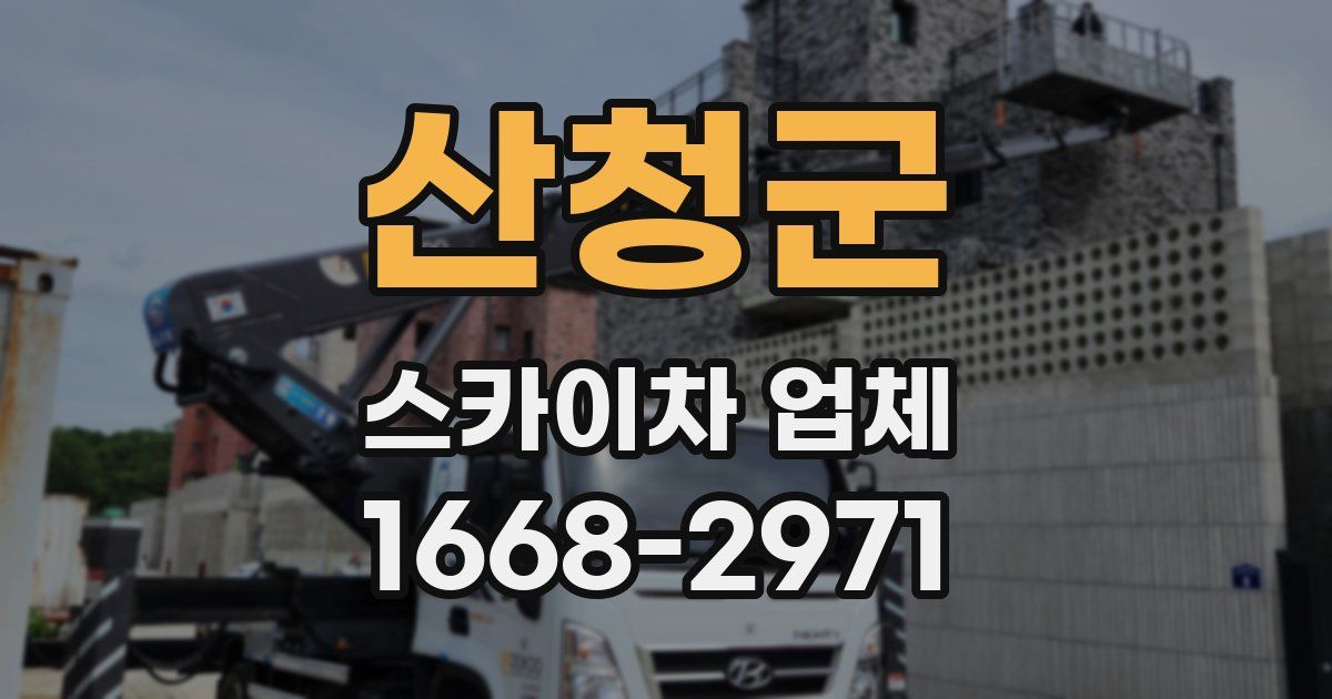 산청군 스카이차 업체